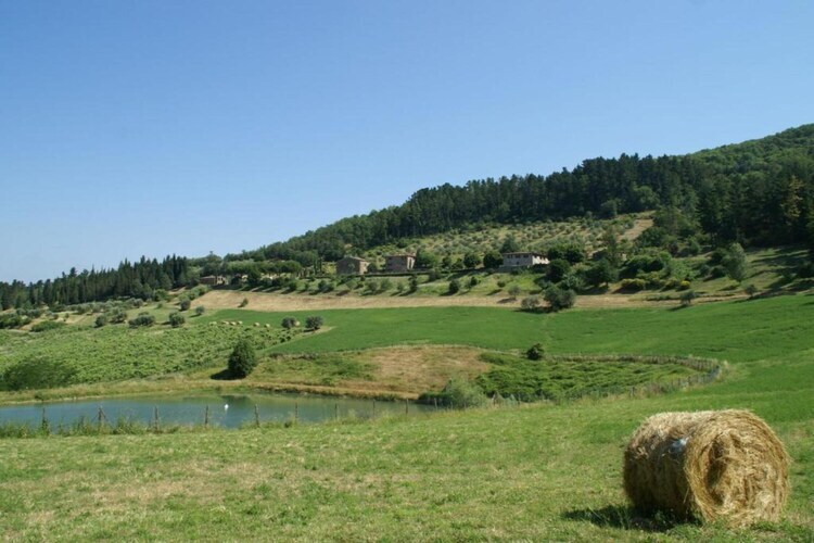 Maison Sangiovese, 6 pers., piscine panoramique Valdarno - Photo 35