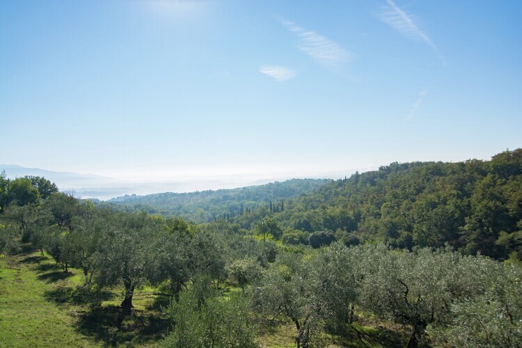 Camino Ugo – Maison 4 pers. campagne toscane - Photo 26