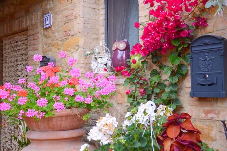 Ferme du XVIIe siècle avec piscine en Chianti - Photo 38