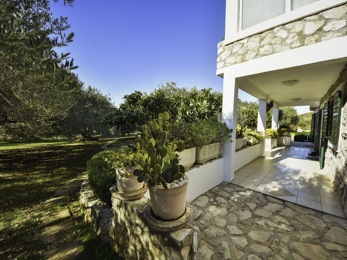Maison Franka sur l'île de Pašman, 20 m de la mer - Photo 22