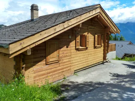 Ardévaz I, Location Chalet 8 personnes à Ovronnaz - Photo 23