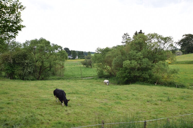 Gîte Maquis du cerf à La Roche-En-Ardenne - Photo 26