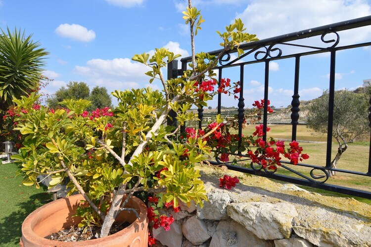 Villa Orange à Algorfa : 3 chambres, piscine privée - Photo 28