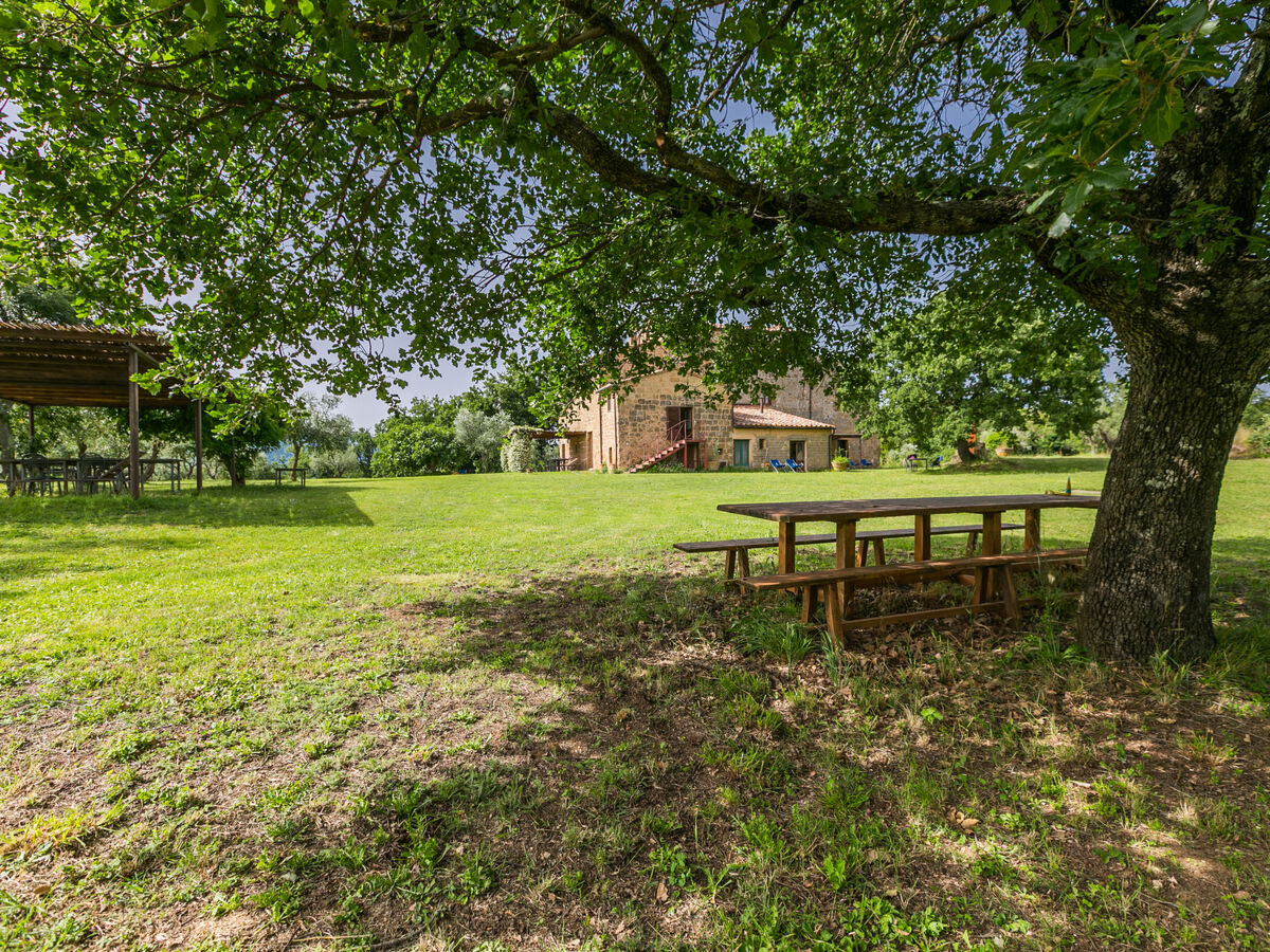 Gîte Rosmarino à Pitigliano, 35 m² rustique - Photo 19