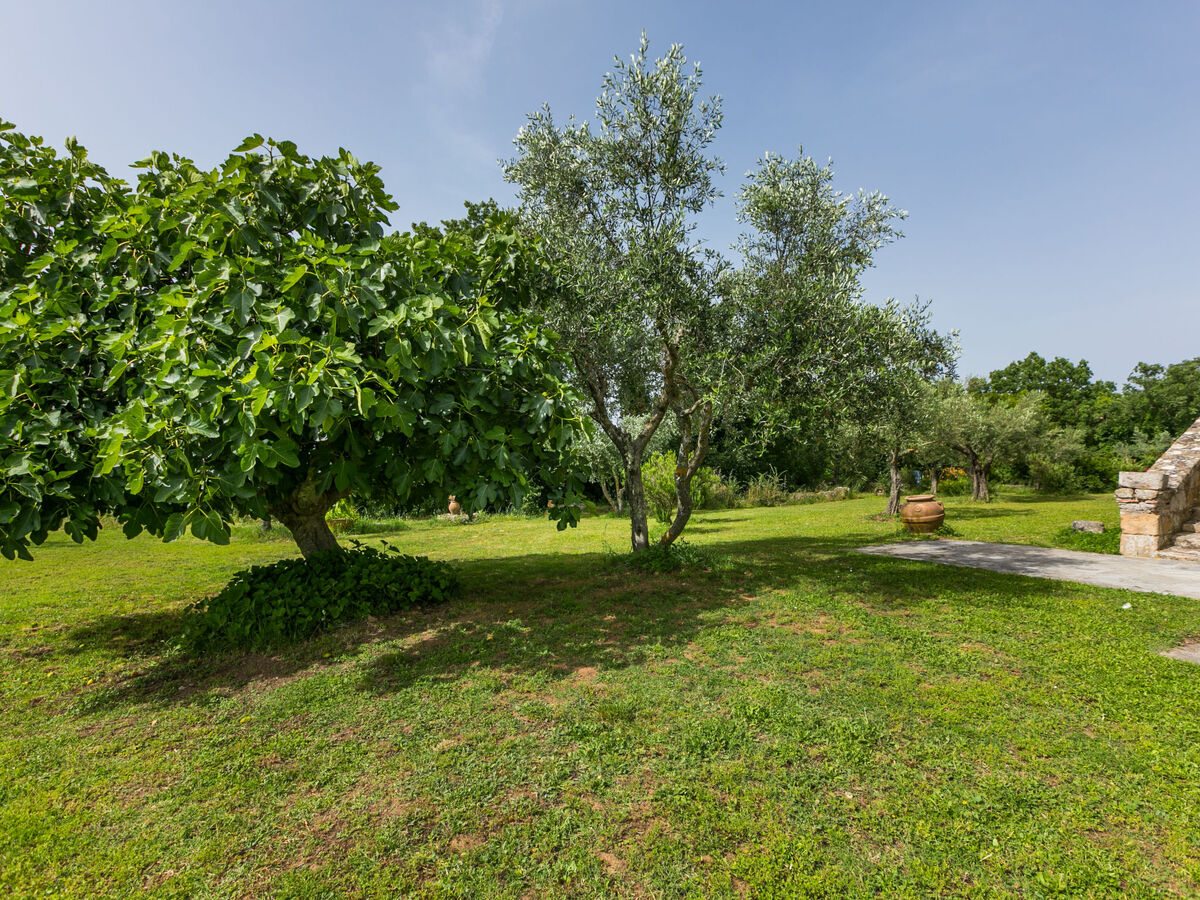 Gîte Rosmarino à Pitigliano, 35 m² rustique - Photo 28