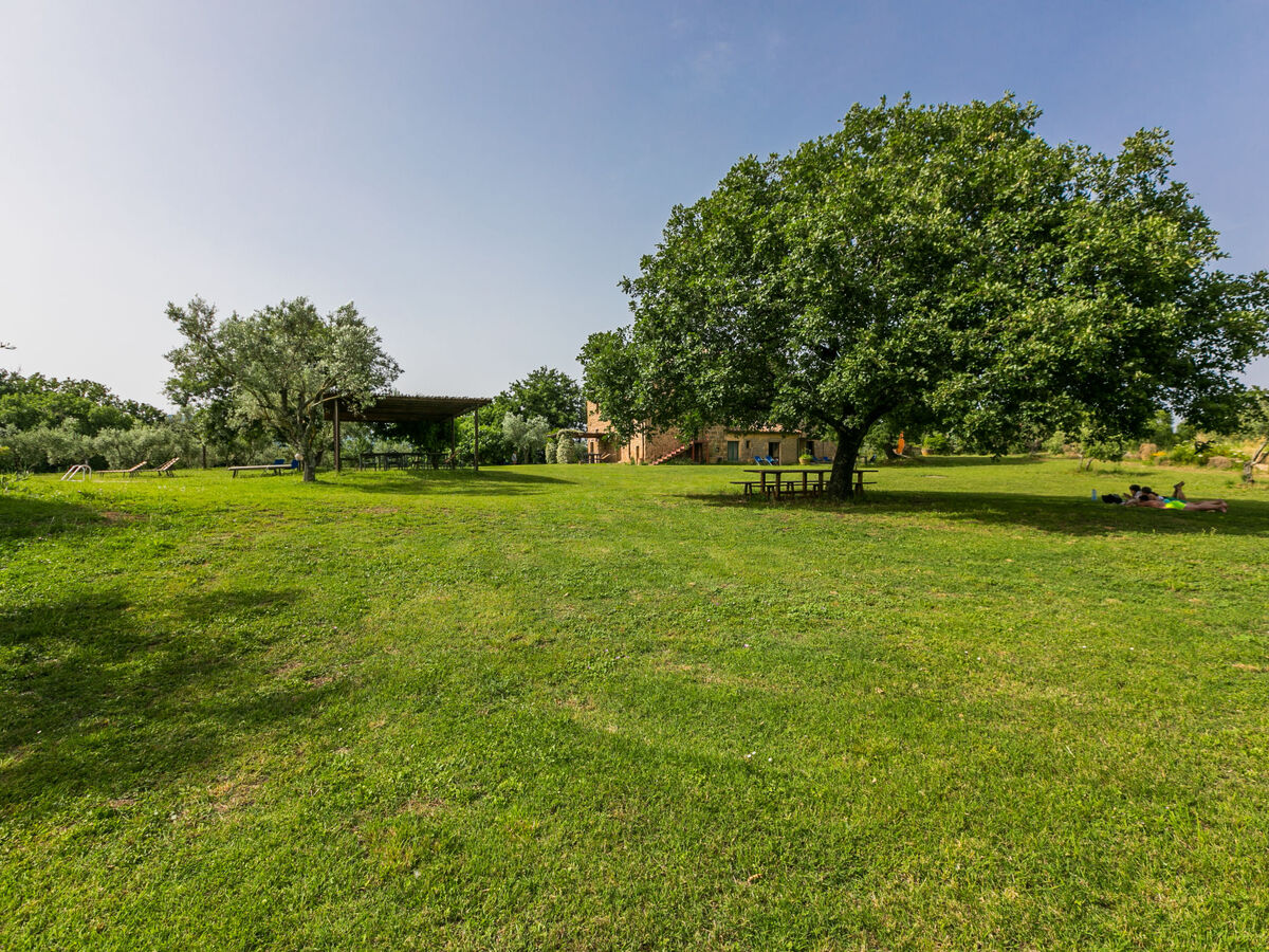 Malva – Gîte rustique 10 pers., piscine, Pitigliano - Photo 44