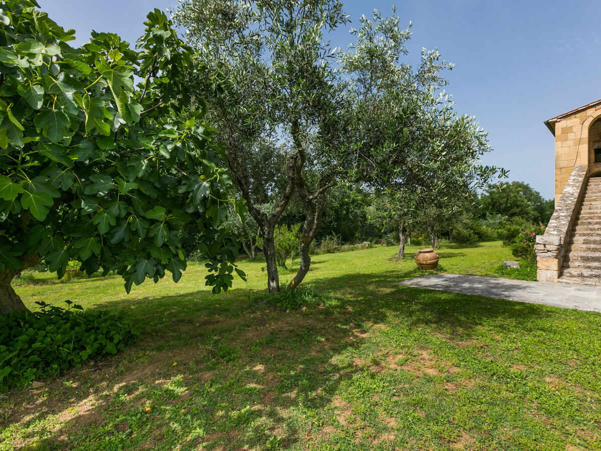 Malva – Gîte rustique 10 pers., piscine, Pitigliano - Photo 47