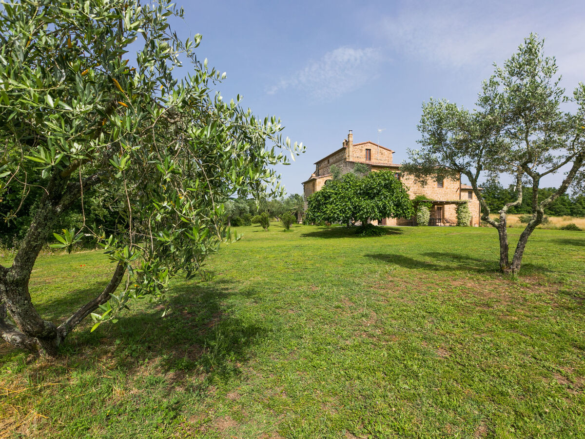 Malva – Gîte rustique 10 pers., piscine, Pitigliano - Photo 55