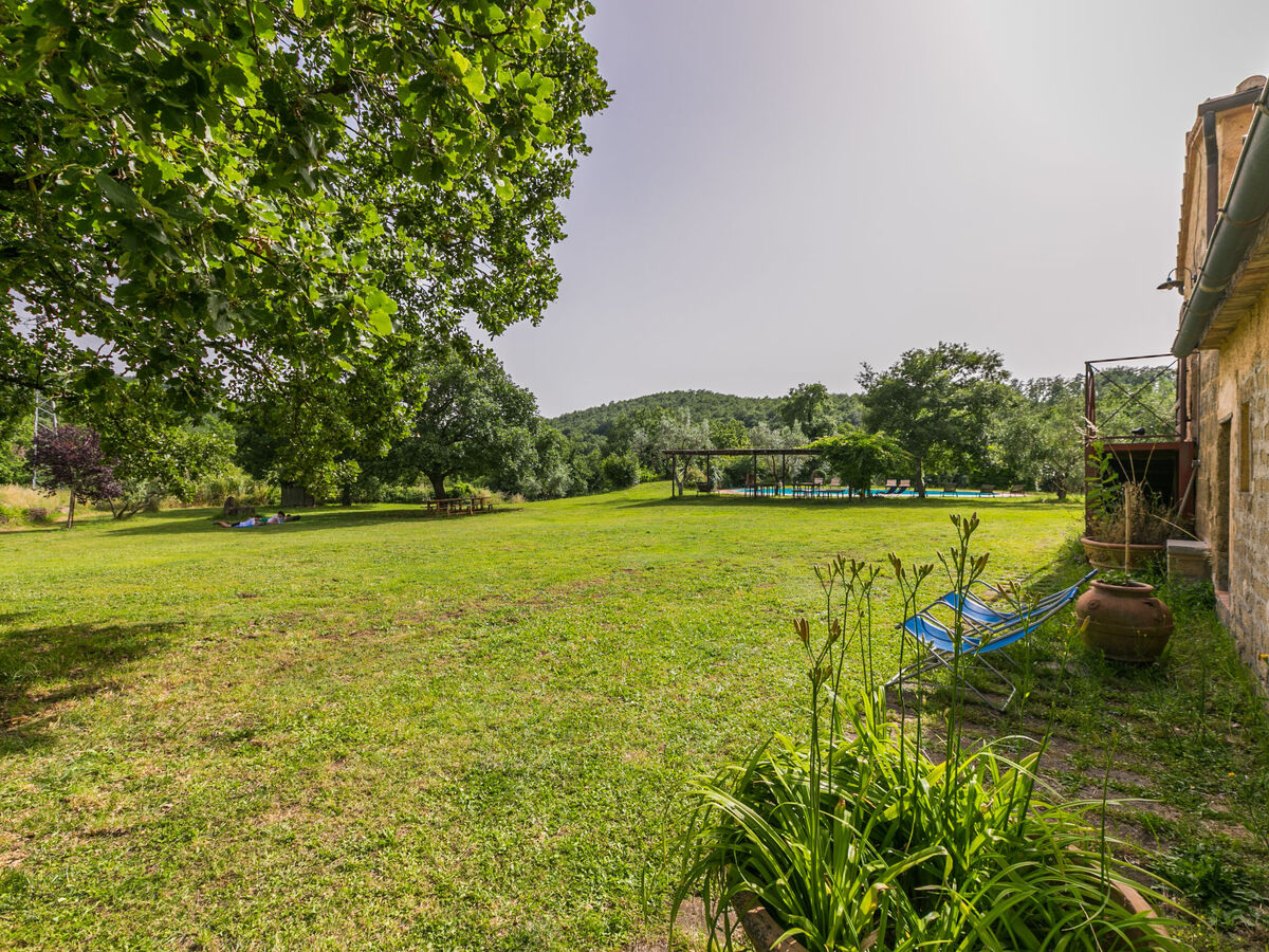 Malva – Gîte rustique 10 pers., piscine, Pitigliano - Photo 59