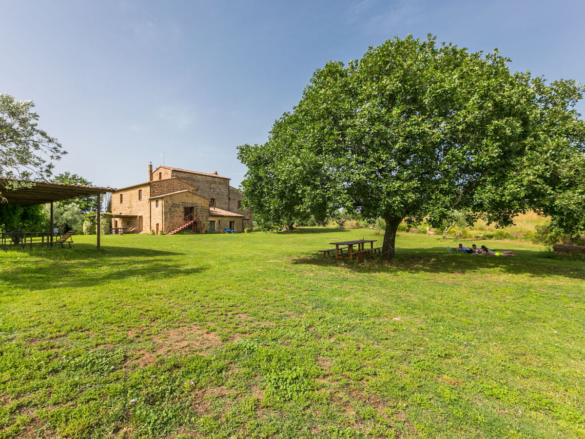Gîte Salvia à Pitigliano : 3 chambres, jardin et piscine - Photo 60