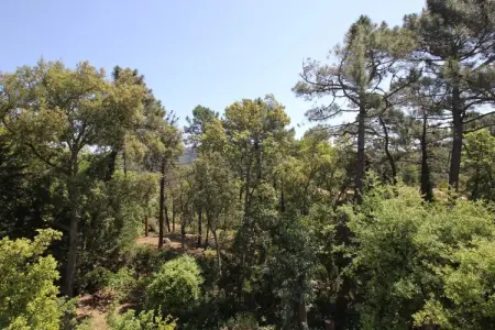 Le Capitou, maison design dans l'Estérel à Fréjus : photo 9