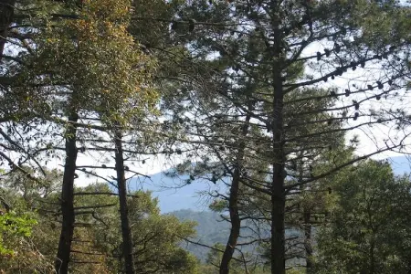 Le Capitou, maison design dans l'Estérel à Fréjus : photo 20