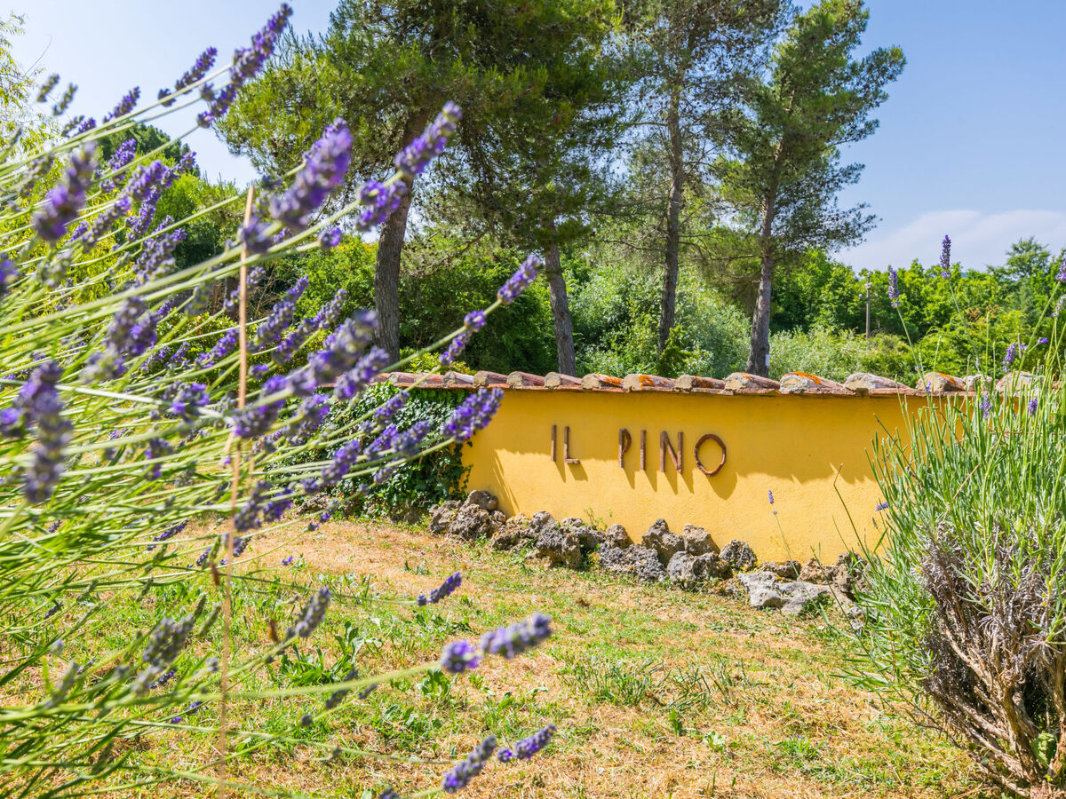 Appartement Fienile avec vue panoramique, Castelnuovo Val Cecina - Photo 44