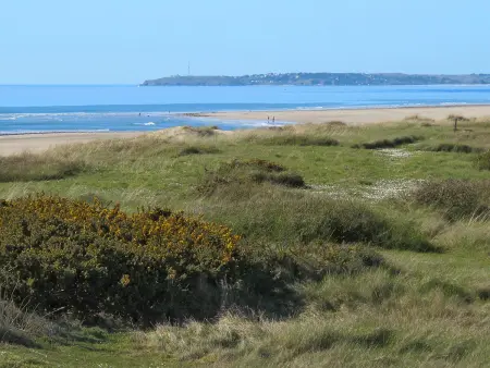 La Plage - Maison 2 pièces à 50 m de la mer : photo 14