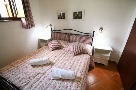 Ulivo, Maison de vacances avec piscine d'eau salée - Photo 3