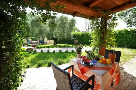 Ulivo, Maison de vacances avec piscine d'eau salée - Photo 4