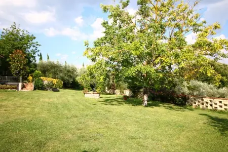 Ulivo, Maison de vacances avec piscine d'eau salée - Photo 30
