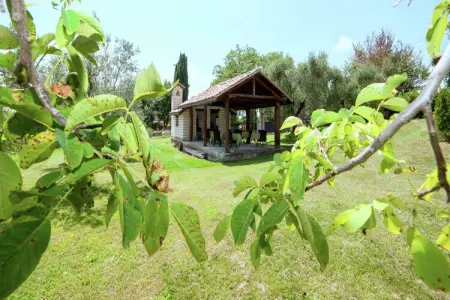 Ulivo, Maison de vacances avec piscine d'eau salée - Photo 36