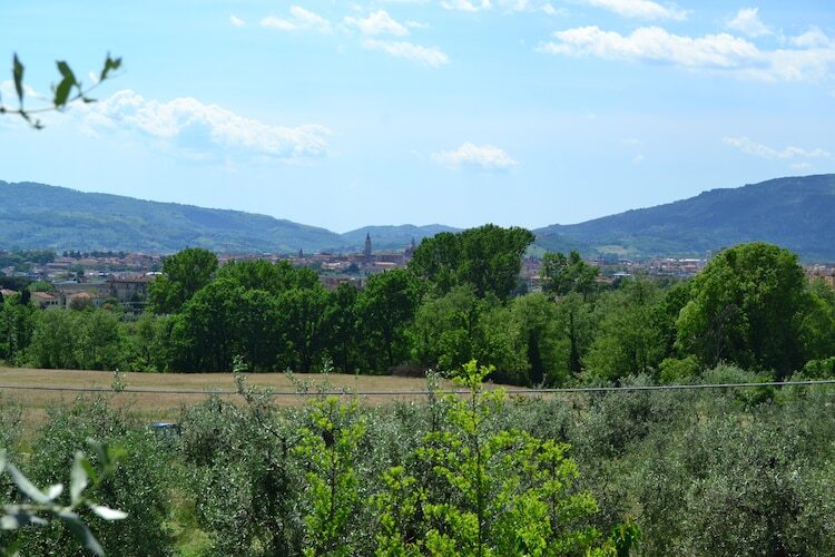 Villa dei Tarocchi, 8 pers., piscine et jardin - Photo 38