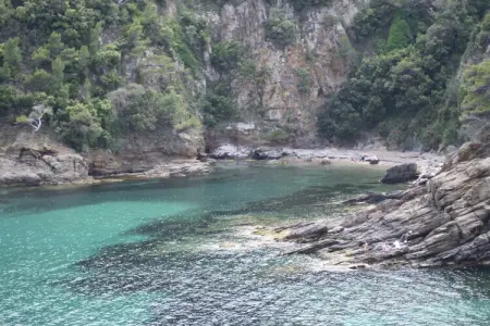 Villa La Ratatouille - 200 m de la plage à Cavalaire : photo 23