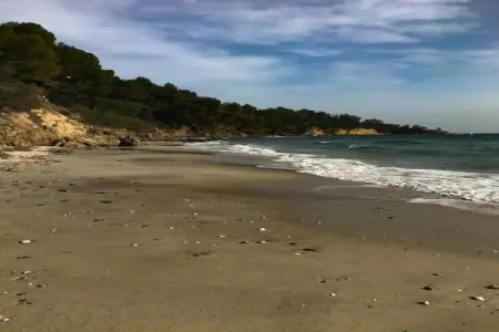 Villa La Ratatouille - 200 m de la plage à Cavalaire : photo 28