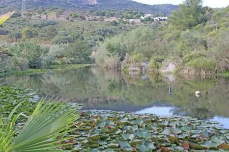 Villa La Ratatouille - 200 m de la plage à Cavalaire : photo 34
