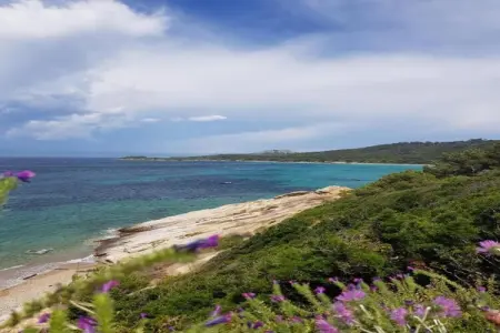Villa La Ratatouille - 200 m de la plage à Cavalaire : photo 37