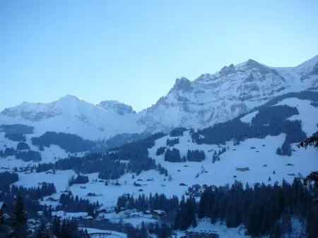 Adlerhorst, Appartement 5 personnes à Adelboden - Photo 1
