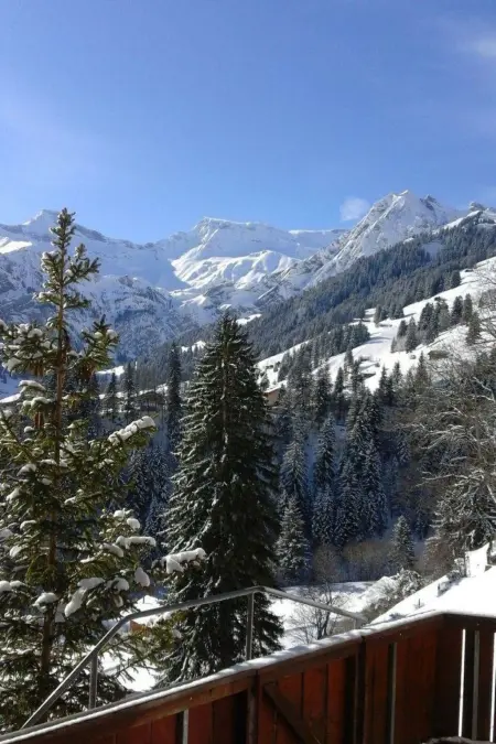 Adlerhorst, Appartement 5 personnes à Adelboden - Photo 3