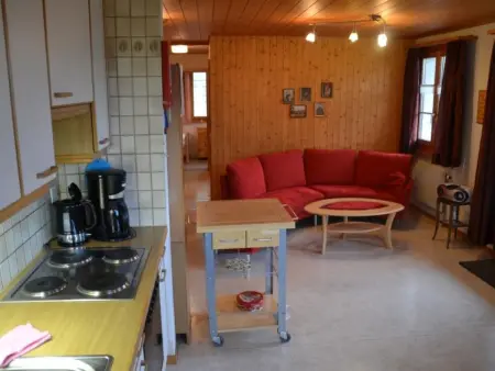 Adlerhorst, Appartement 5 personnes à Adelboden - Photo 13