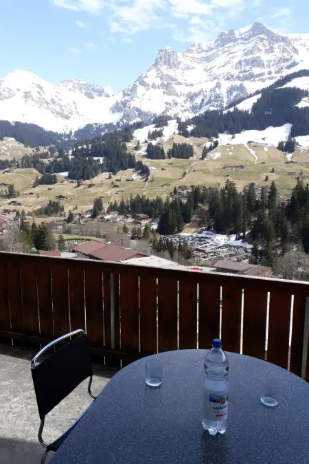 Adlerhorst, Appartement 5 personnes à Adelboden - Photo 20