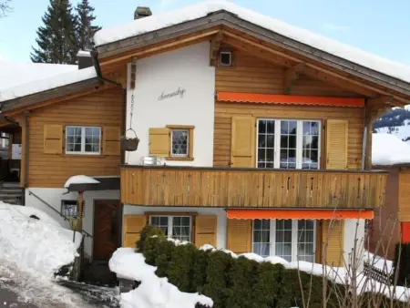 Sunneschyn, Appartement 5 personnes à Adelboden - Photo 1