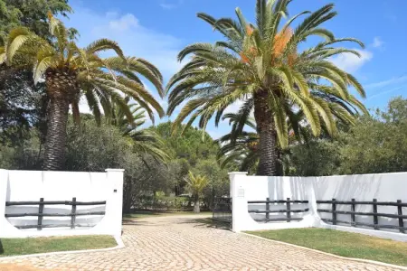 Quinta Velha, maison 8 pers. avec piscine privée : photo 25