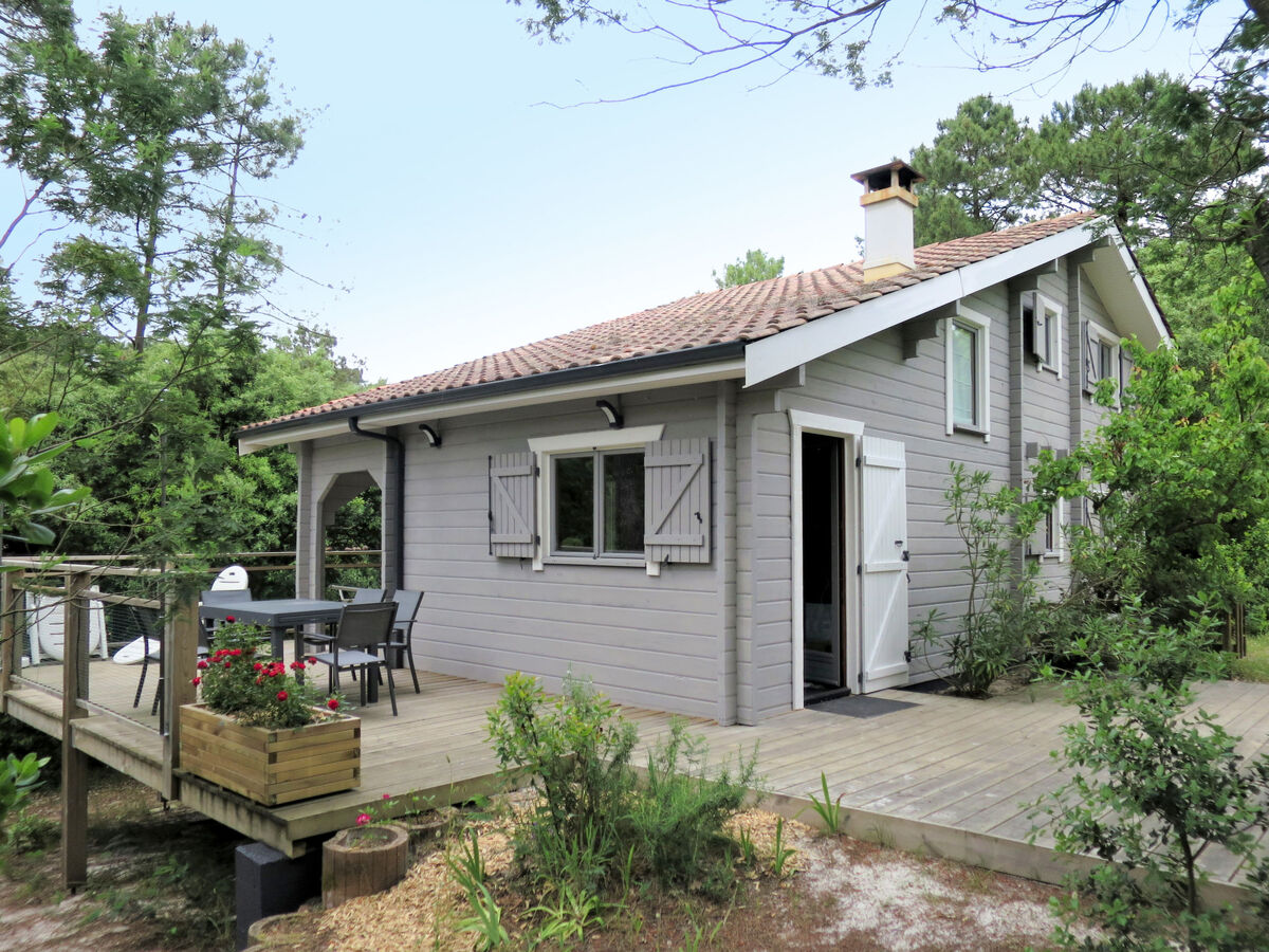 L'Escouarte, maison 4 chambres avec vue forêt - Photo 1