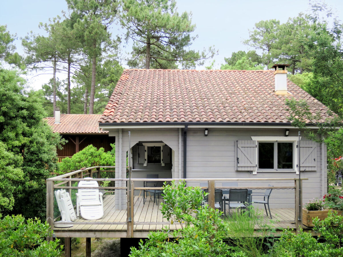 L'Escouarte, maison 4 chambres avec vue forêt - Photo 2