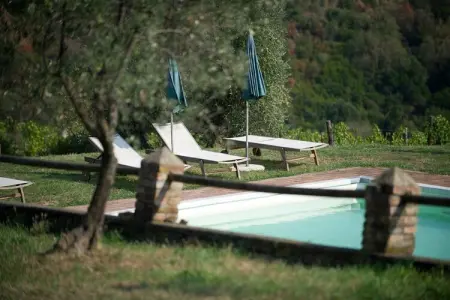 Maison Istrice en ferme biologique toscane : photo 30