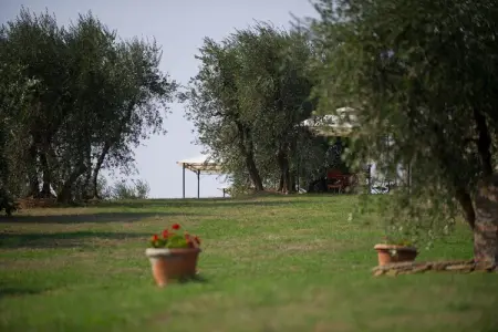Maison Istrice en ferme biologique toscane : photo 34