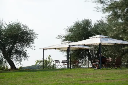 Maison Istrice en ferme biologique toscane : photo 35