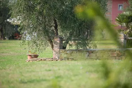Maison Istrice en ferme biologique toscane : photo 36