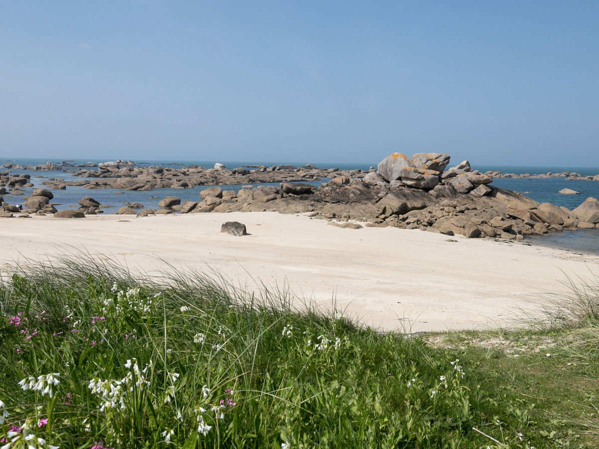 Les Chardons Bleus 2 – Apt 4 pers., vue mer à Brignogan - Photo 29