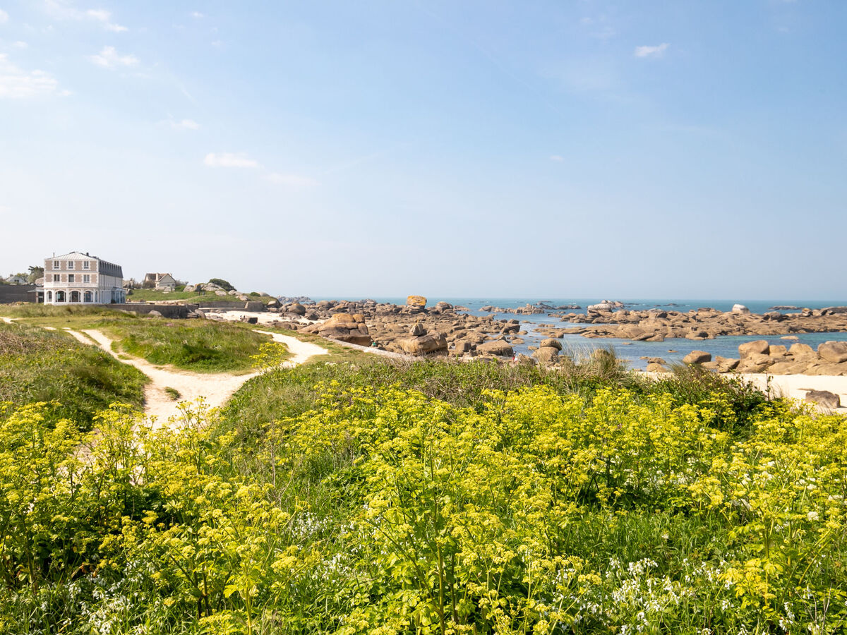 Les Chardons Bleus 2 – Apt 4 pers., vue mer à Brignogan - Photo 30