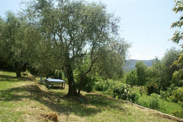 Maison 5 personnes, jardin 500m² à Berre-Les-Alpes - Photo 24