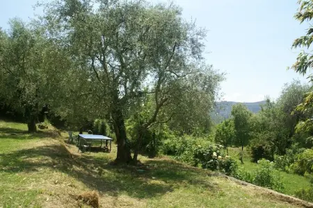 Maison 5 personnes, jardin 500m² à Berre-Les-Alpes : photo 24