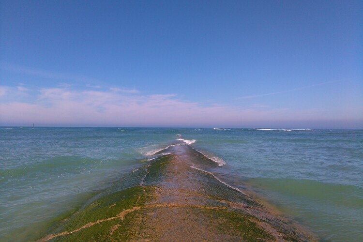 Maison 8 pers. à 300 m de la plage, Île-de-Ré - Photo 18