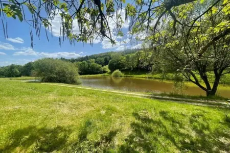 Sérilhac, Villa avec piscine et vue à Sérilhac - Photo 24