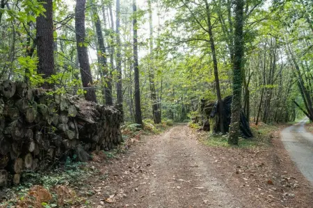 Maison 3 chambres Cendrieux, accueil famille et animaux : photo 24