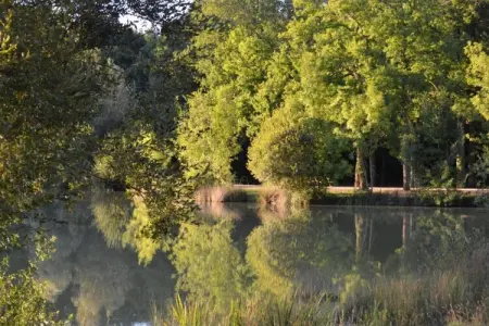 Maison typique périgourdine, Charmante retraite familiale à Loubejac - Photo 33