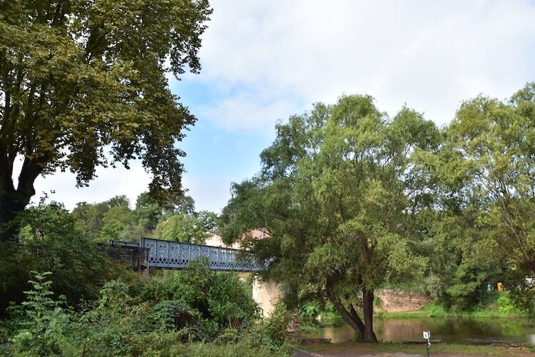 Maison Labardamier : 6 personnes, jardin et terrasse en Périgord - Photo 24