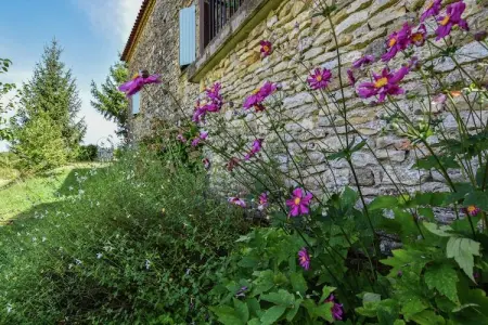 Maison piscine privée Loubéjac, 2 chambres : photo 16