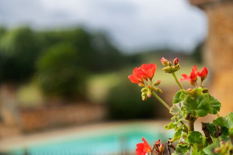 Maison 6 pers. piscine privée, Dordogne - Photo 31
